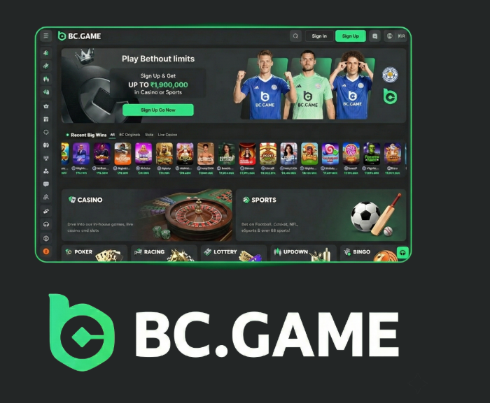 Discover the Thrills of Corgibet Casino Your Ultimate Online Gaming Destination